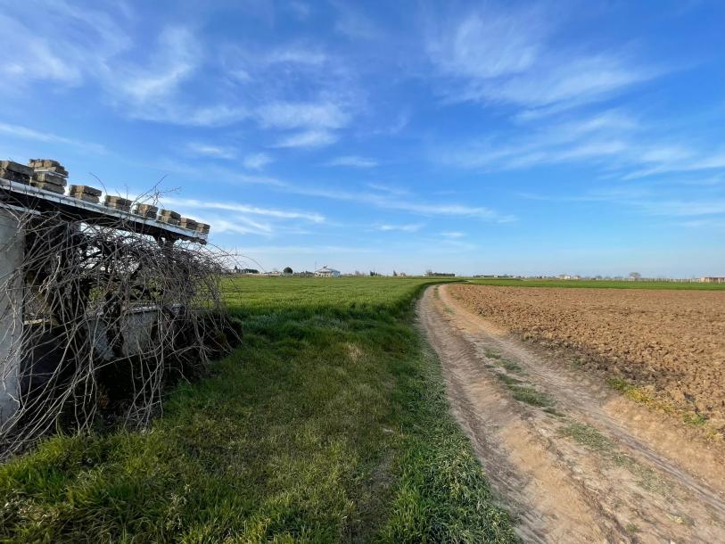 Lüleburgaz'a yakın konumda satılık tarla/bahçe fırsatı!-8